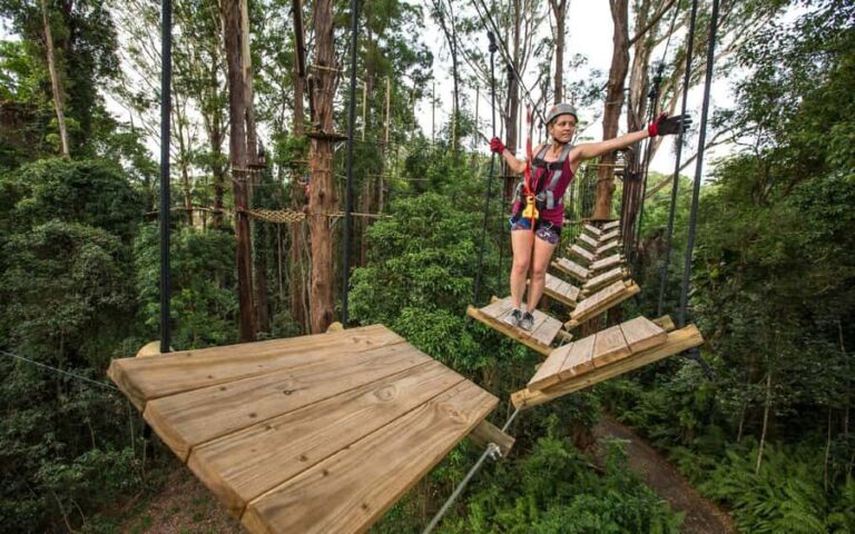 Sunshine Coast: Treetop Challenge Adventure Park - Who Should Consider This Adventure?