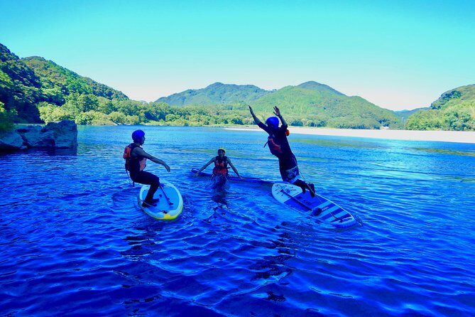 SUP downriver tour at Niyodo river - Why This Tour Delivers Value