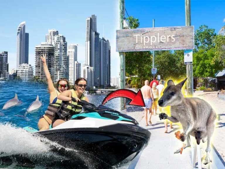 Surfers Paradise: 2 Hour Tropical Island Jet Ski Tour - What to Expect from Start to Finish