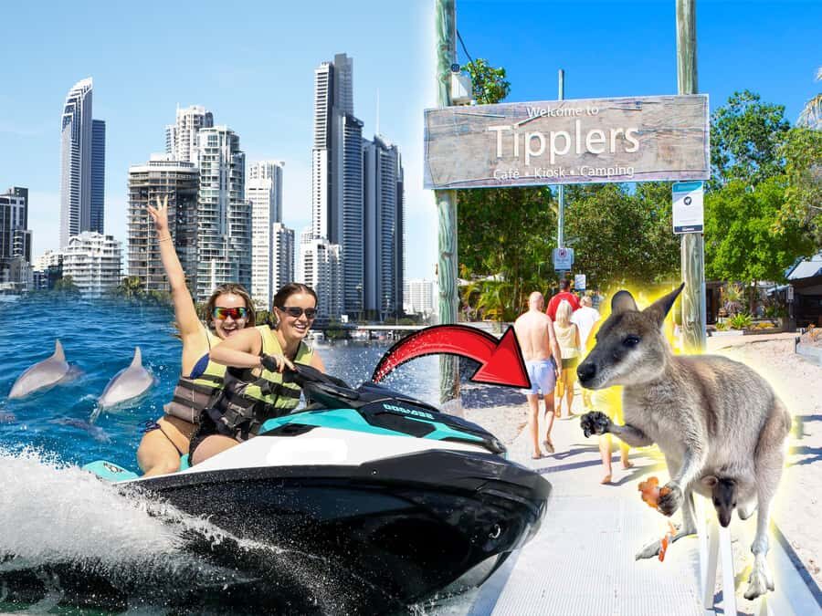 Surfers Paradise: 2 Hour Tropical Island Jet Ski Tour - What to Expect from Start to Finish
