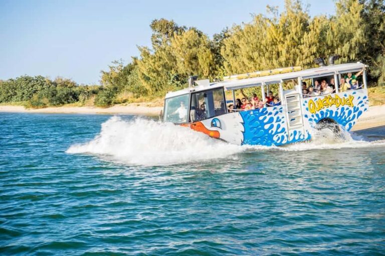 Surfers Paradise: Guided Gold Coast Amphibious Bus Tour - Price and Value