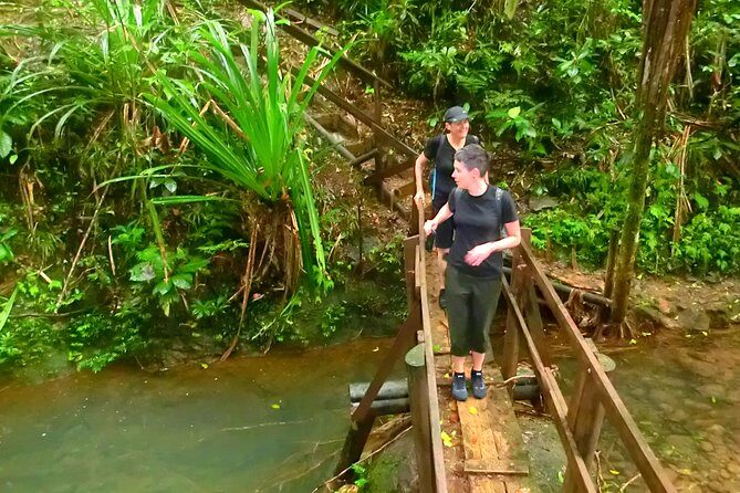 Suva Customized tour- Private - A Deep Dive into the Suva Customized Tour