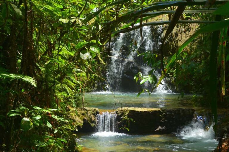 Suva: Fijian Nature and Waterfall Tour - The Journey to Colo-I-Suva