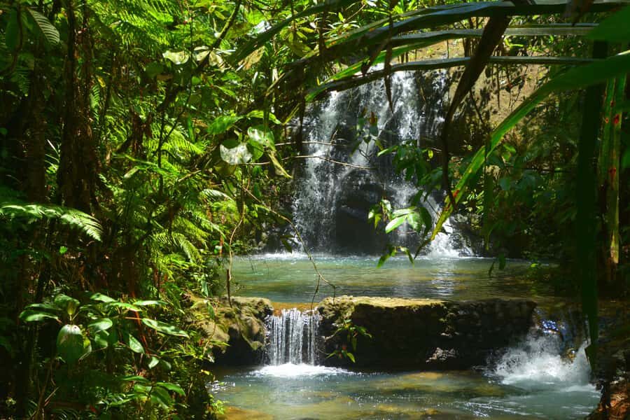 Suva: Fijian Nature and Waterfall Tour - The Journey to Colo-I-Suva