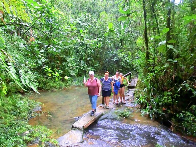 Suva: Half Day City Sightseeing Tour - Who Would Enjoy This Tour?