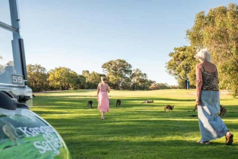 Swan Valley: Golf Cart Kangaroo Safari w/ Mini Golf & Drink - Price & Value