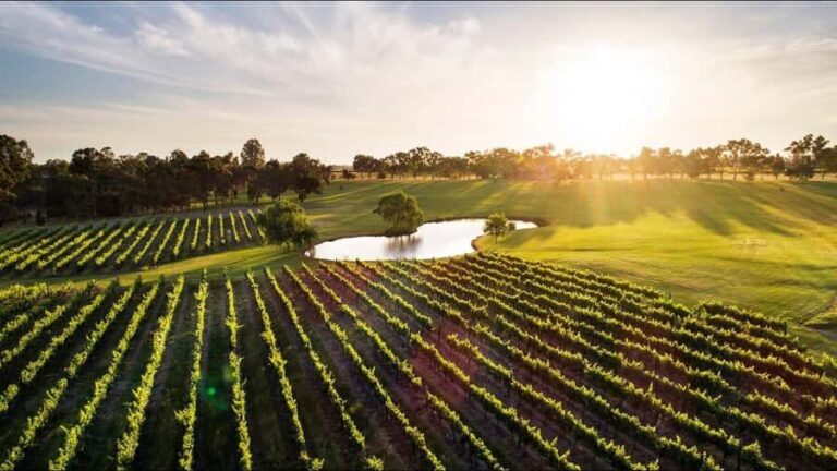 Swan Valley: Tour with 5 star Culinary Chefs 5 course lunch. - What You Can Expect on This Tour