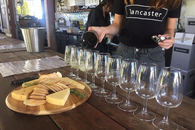 Swan Valley Wine Tour - Full Day - Final Thoughts: Who Is It Best For?