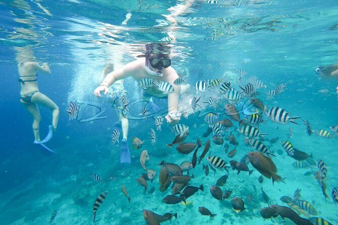 Swim With Manta Rays Snorkeling Nusa Penida - Who Should Consider This Tour?