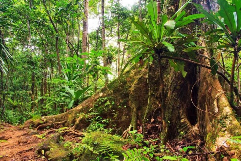 Sydney: 2-Day Private Tour to Blue Mountains and Kiama - Why Travelers Find This Tour Valuable