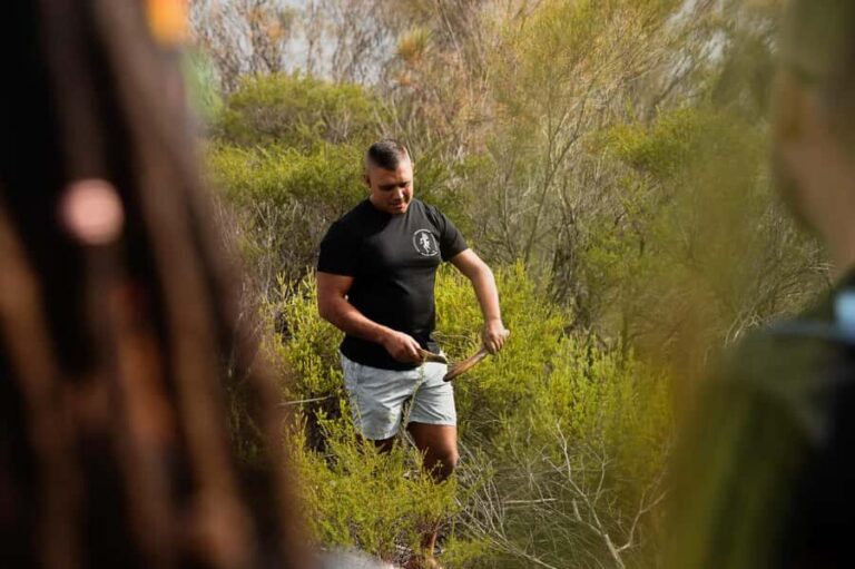 Sydney: Aboriginal Walking Tour with Smoking Ceremony - What to Expect During the Tour