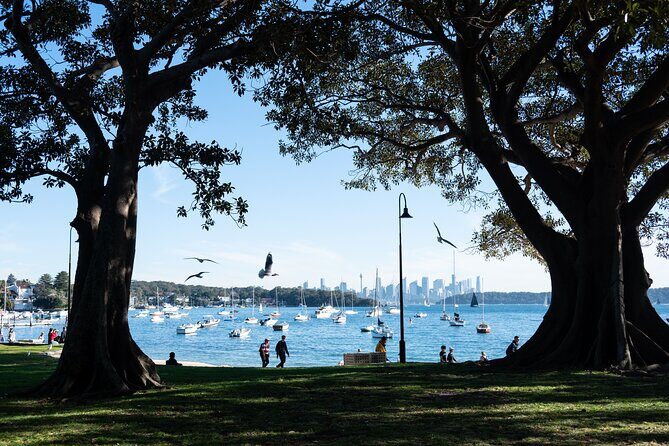 Sydney Airport Transfer to CBD with Harbour Ferry and Manly Tour - What Could Be Better