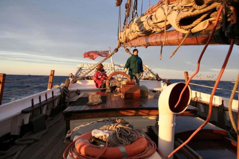 Sydney: Australia Day Tall Ship Cruise with Dinner & Drinks - Who Should Consider This Experience?