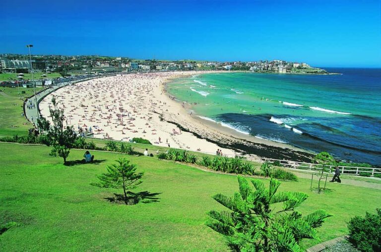 Sydney: Beaches and Lighthouse Day Trip - The Experience from the Reviews