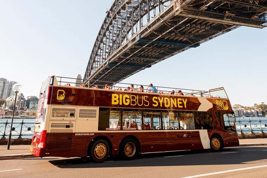 Sydney: Big Bus Hop-On Hop-Off Tour with Optional Cruise - Who Will Love This Tour?