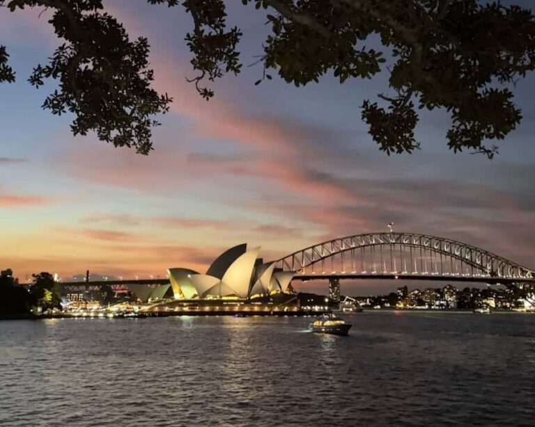 Sydney: Big Bus Panoramic Night Tour by Open-Top Bus - The Review from Passengers