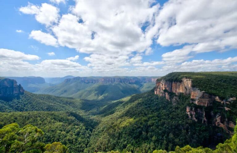 Sydney: Blue Mountains and Scenic World private day tour - Why This Tour Works Well for You
