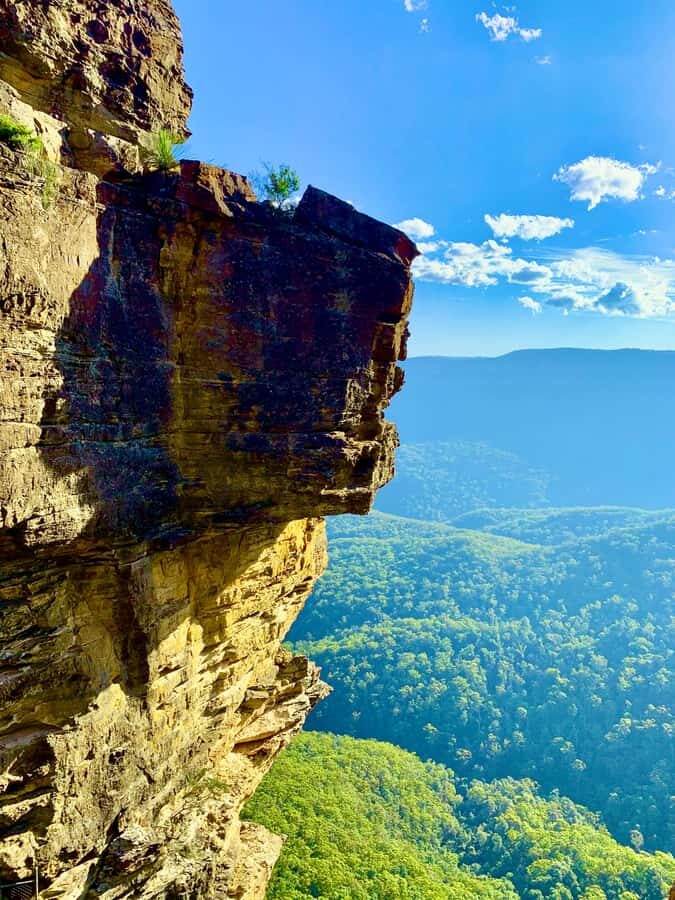Sydney Blue Mountains Day Trip with Scenic World Entry - Why This Tour Offers Good Value