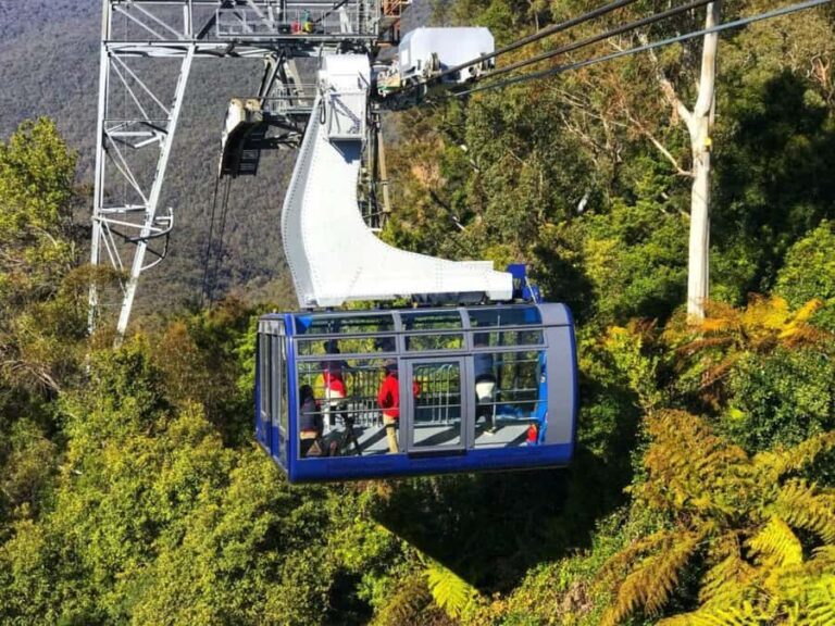 Sydney: Blue Mountains Half Day Scenic World & Lookout Tour - In-Depth Look at the Details