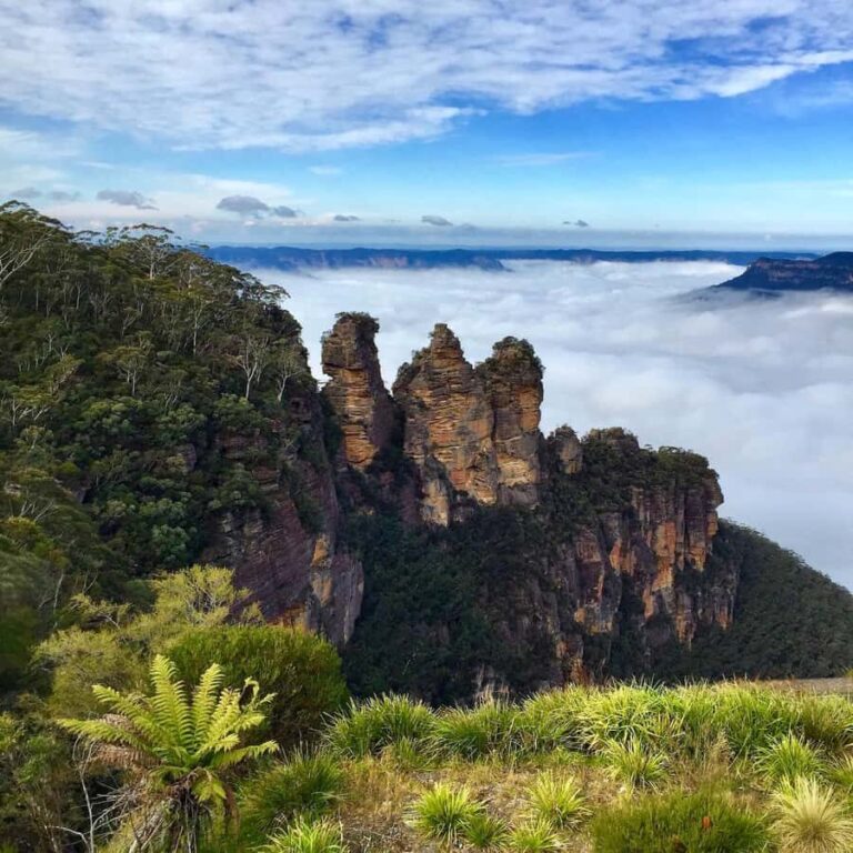 Sydney: Blue Mountains Private Wildlife Adventure Tour - Why This Tour Offers Great Value