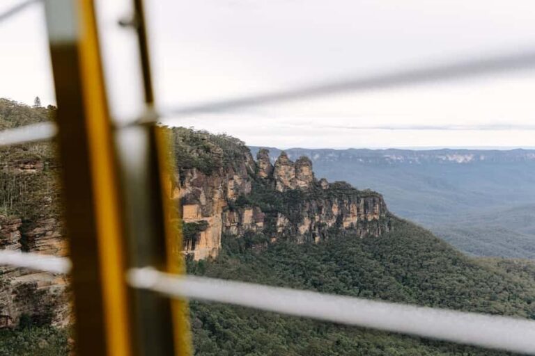 Sydney: Blue Mountains Scenic World, Wildlife Park and Lunch - The Itinerary: A Step-by-Step Breakdown