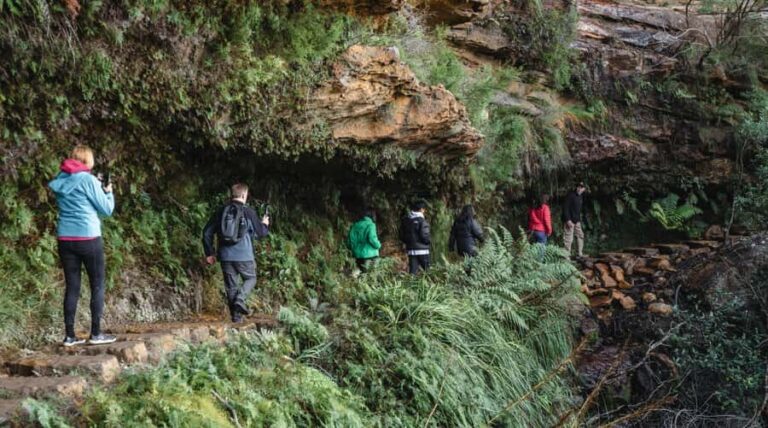 Sydney: Blue Mountains Wildlife & Bushwalk Small-Group Tour - The Guides and Group Dynamics