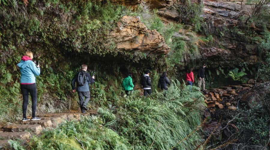 Sydney: Blue Mountains Wildlife & Bushwalk Small-Group Tour - The Guides and Group Dynamics