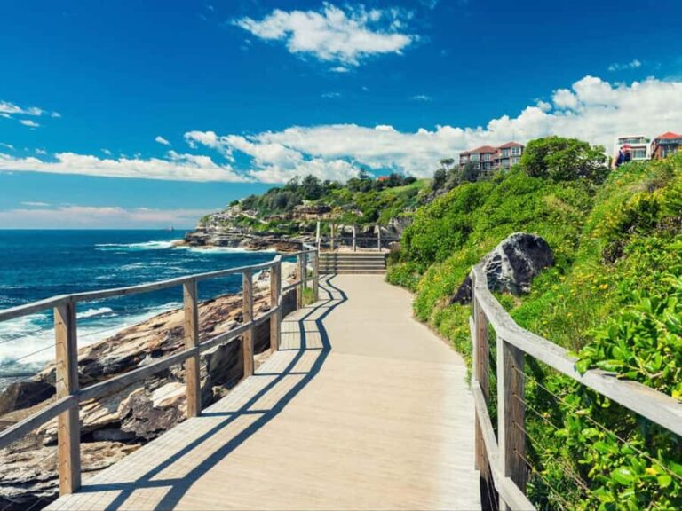 Sydney: Bondi to Coogee Hike with picnic lunch at Coogee - What Makes This Tour Stand Out?
