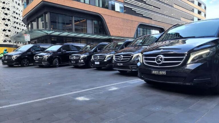 Sydney CBD to Blue Mountain private Day Tour 10 hours - Who Is This Tour Best For?