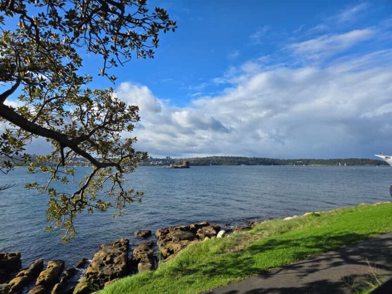 Sydney: City Hidden Gem Half-Day Tour - What Makes This Tour Stand Out?