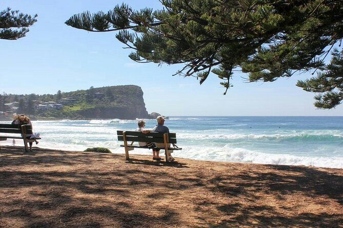 Sydney Coastal Walk Beaches Forts and Scenic Views - Practical Details and What to Expect