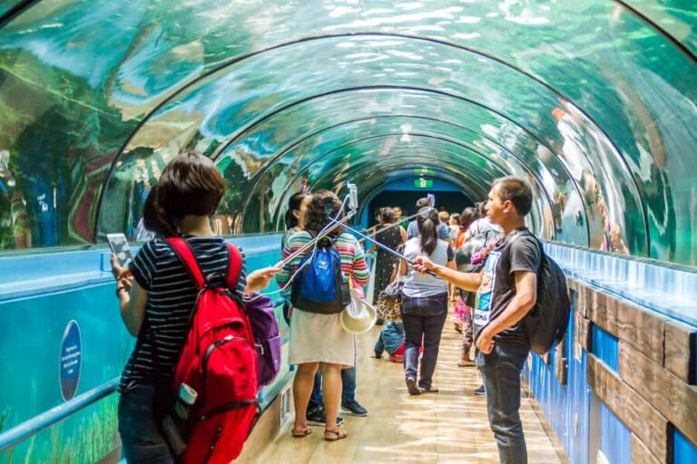 Sydney: Combo Pass for 2, 3, or 4 Top City Attractions - Detailed Breakdown of Each Attraction