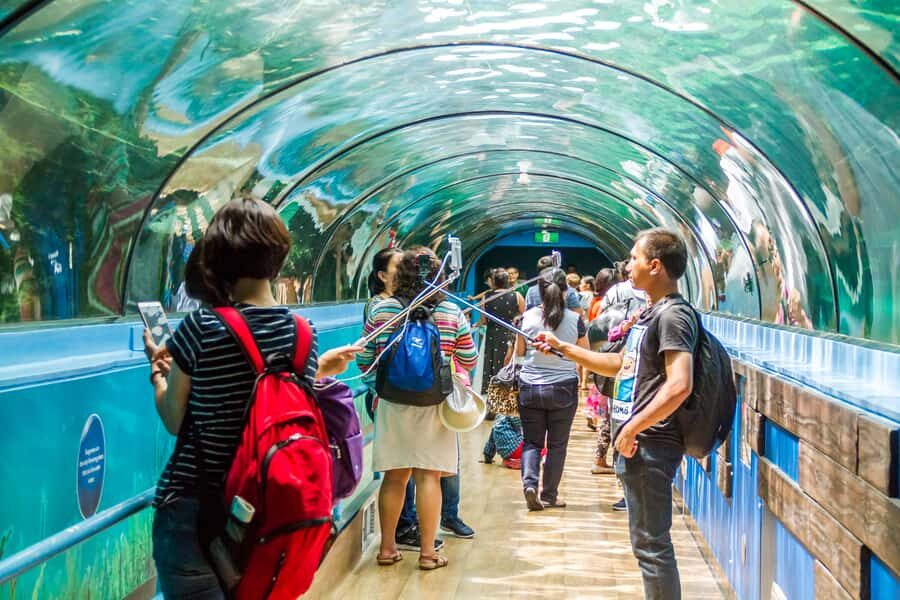 Sydney: Combo Pass for 2, 3, or 4 Top City Attractions - Detailed Breakdown of Each Attraction