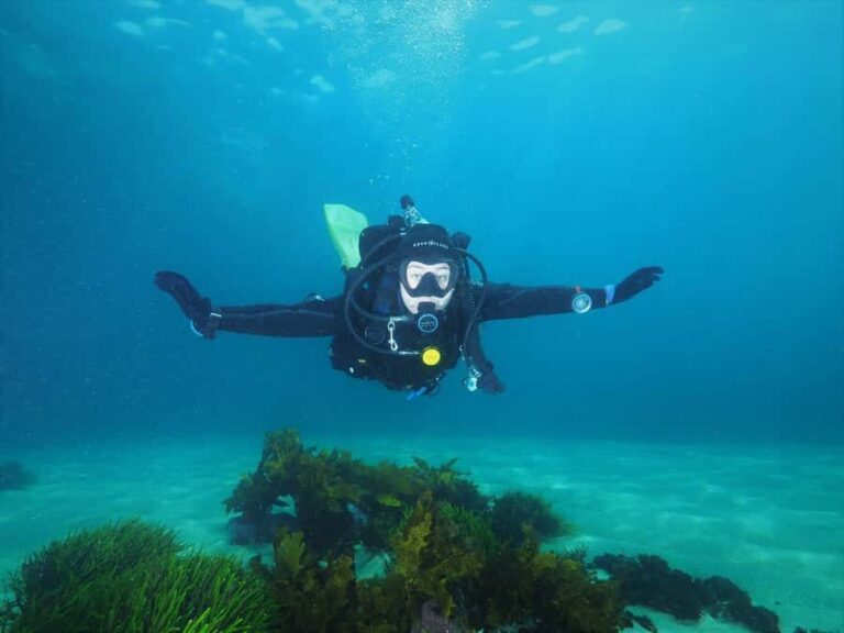 Sydney: Discover Scuba Dive at Australia's most Iconic Beach - What Makes This Experience Stand Out?