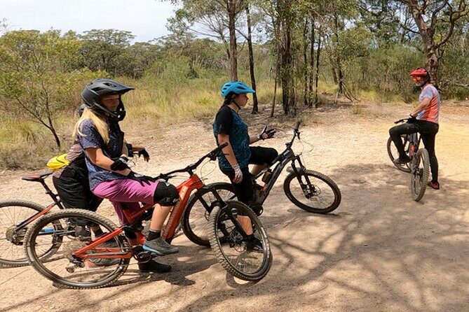 Sydney Electric Mountain Bike Guided Tour - Authentic Experiences: What Riders Say