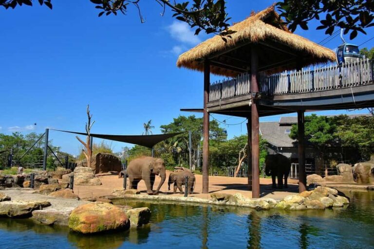 Sydney: Featherdale Park & Sydney Zoo Day Tour - What Travelers Say