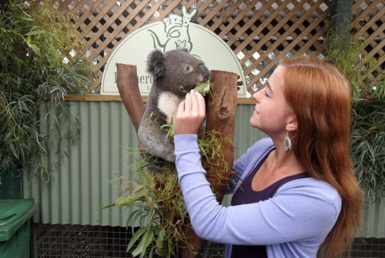 Sydney: Featherdale Wildlife Park Private Tour - The Convenience of a Private Tour