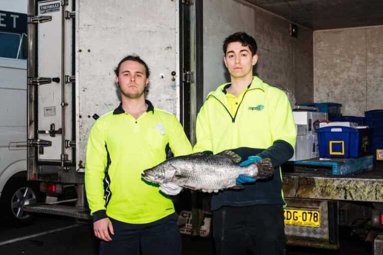 Sydney Fish Market Discovery Tour - The Value of the Experience
