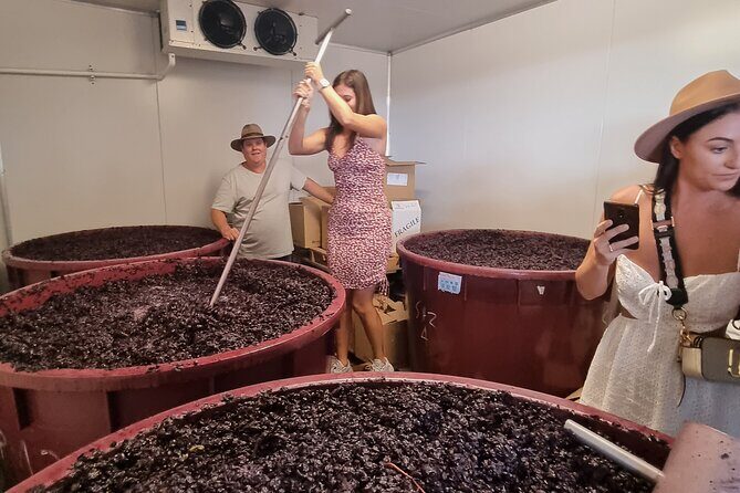 Sydney Grains and Grapes Hunter Valley Wine and Beer with Lunch - The Overall Experience: What Stands Out