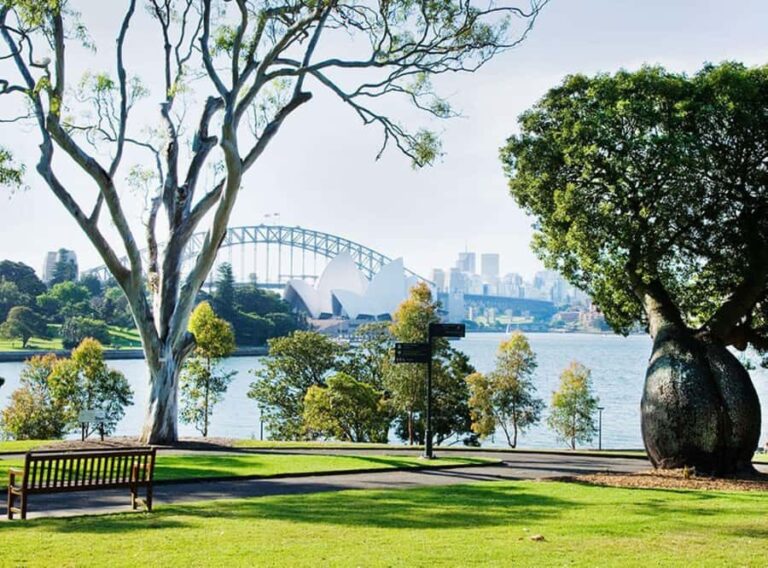 Sydney: Guided Hike with Picnic Lunch and Painting Session - Practical Details and Considerations