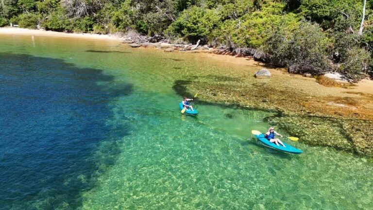 Sydney: Guided Kayak Taster Tour from Manly - The Safety Briefing and Paddling Demo