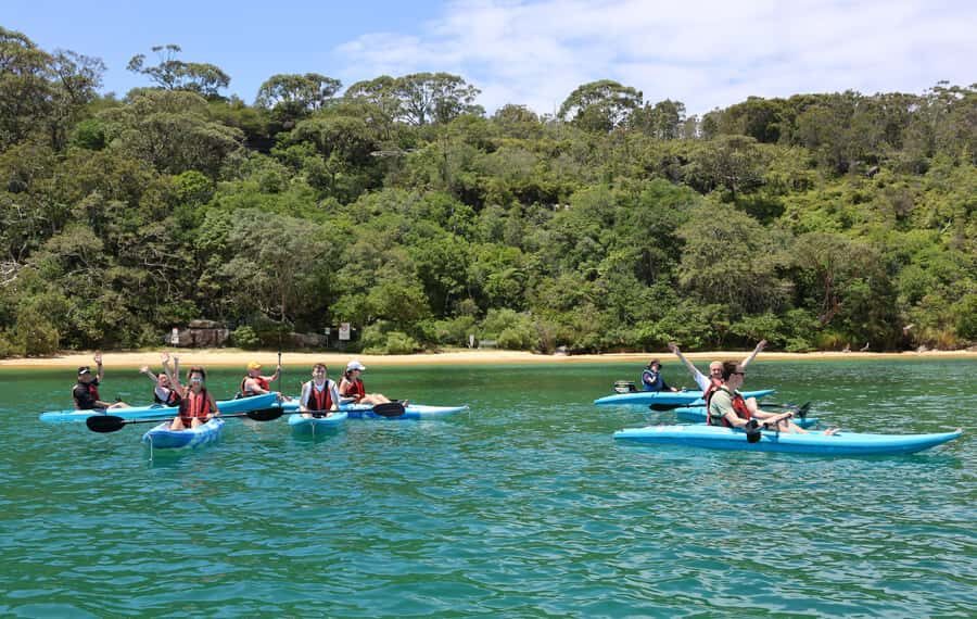 Sydney: Guided Kayak Tour of Manly Cove Beaches - Who Will Love This Tour?