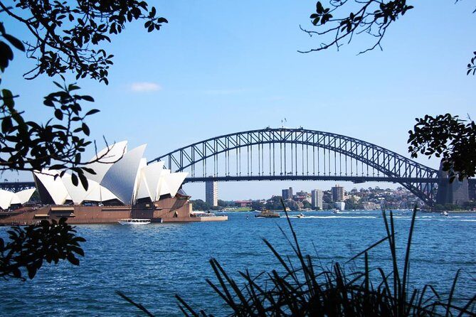 Sydney Half Day Private Tour: See Sydney Opera House and Bondi - Practical Details and Tips