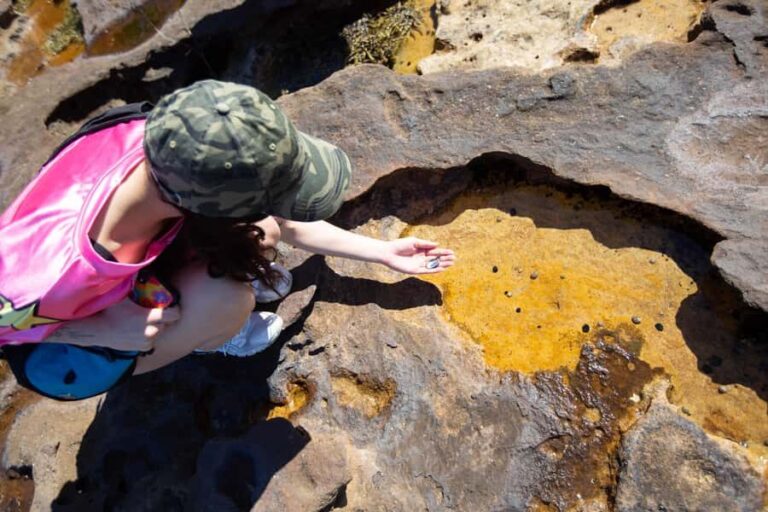 Sydney Harbour National Park 2-Hour Walking Tour - Why This Tour Stands Out