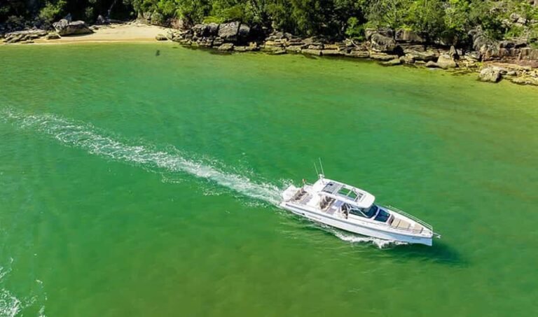 Sydney Harbour Twilight Cruise - Who Should Consider This Experience