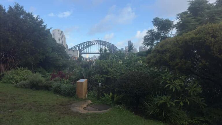 Sydney: Harbour Views & Hidden Histories Walking Tour - What You’ll Experience