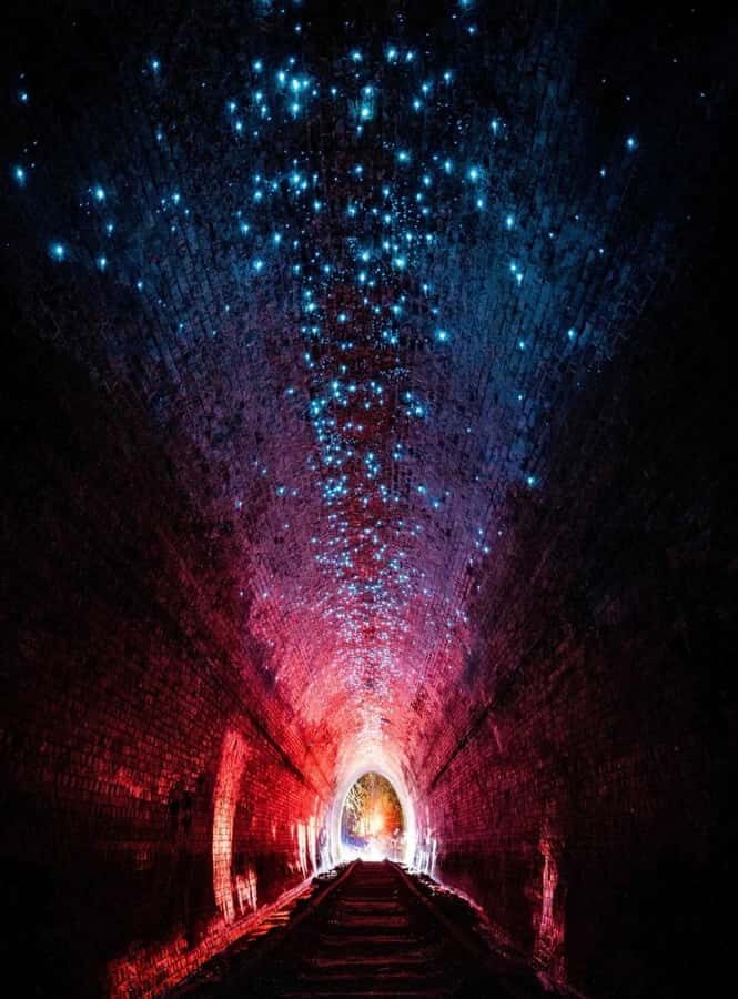 Sydney: Helensburgh Glow Worm Tunnel Tour with Transfer - The Journey There and Back