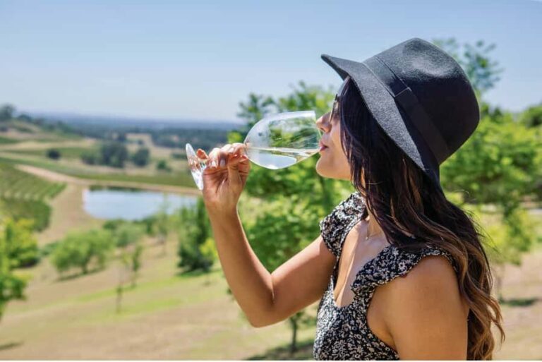 Sydney: Hunter Valley Wineries Day Trip with Food Tastings - Is This Tour for You?