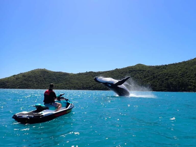 Sydney: Jet Ski Rental with Snorkeling Gear - The Practical Side: Details That Matter