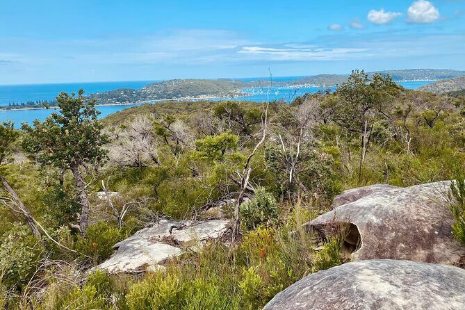 Sydney: Ku-ring-gai Chase National Park with Hike, Swim, Picnic - Authentic Experiences That Keep Travelers Coming Back